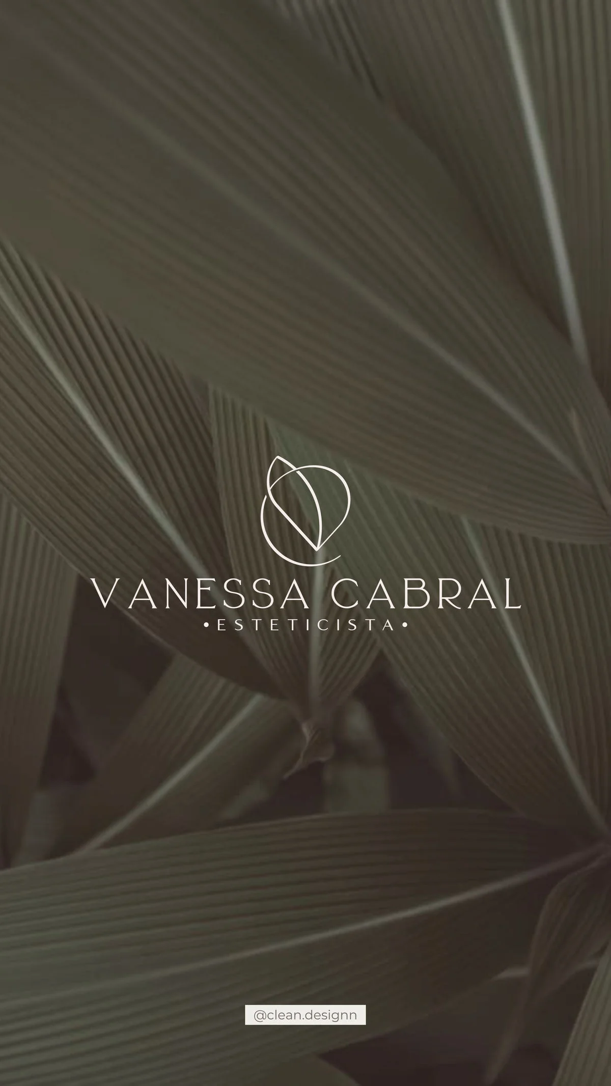 Vanessa — Experiência de Marca